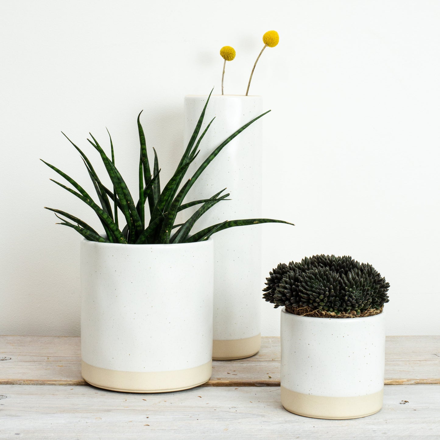Ivory Speckled Ceramic Pot